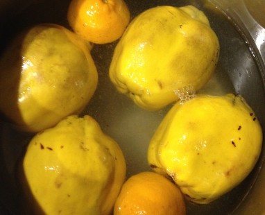 lovely quinces and lemons