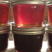 Quince Jelly and Paste: another 2-for-1 recipe...